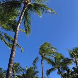 Meet your Posher, Paola